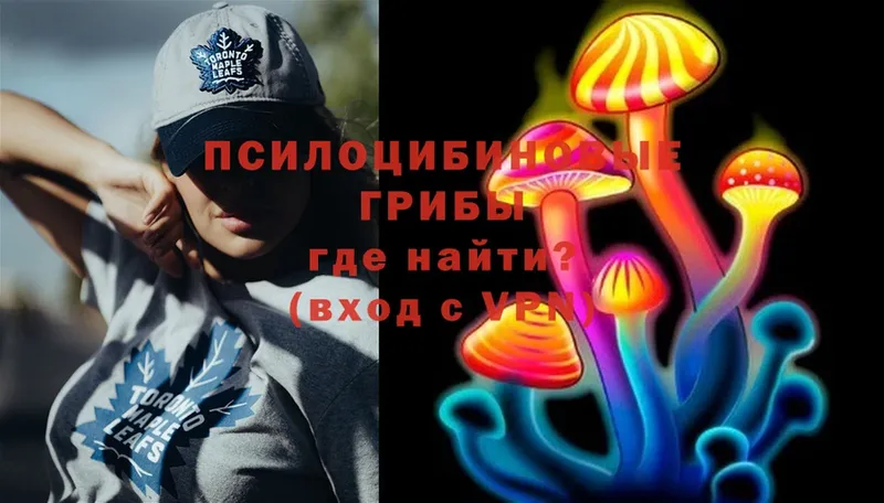 Псилоцибиновые грибы Psilocybe  Дегтярск 